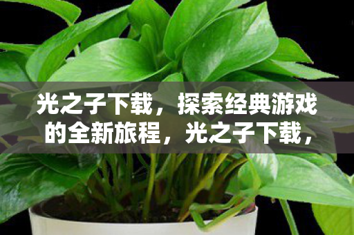 光之子下载,探索经典游戏的全新旅程,光之子下载,开启经典游戏的全新冒险之旅 光之子下载,探索经典游戏的全新旅程,光之子下载,开启经典游戏的全新冒险之旅
