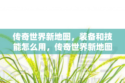 装备与技能使用指南图片