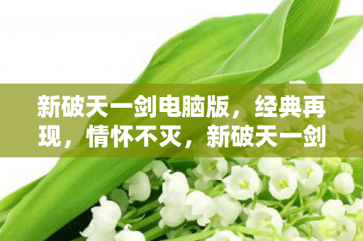 新破天一剑电脑版图片