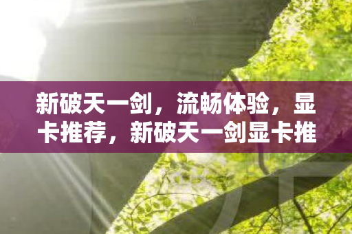 新破天一剑显卡推荐图片
