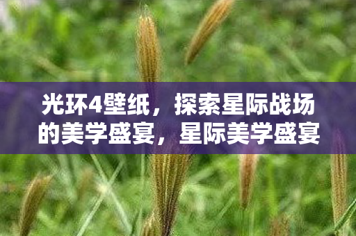 光环4壁纸,探索星际战场的美学盛宴,星际美学盛宴,光环4壁纸 光环4壁纸,探索星际战场的美学盛宴,星际美学盛宴,光环4壁纸