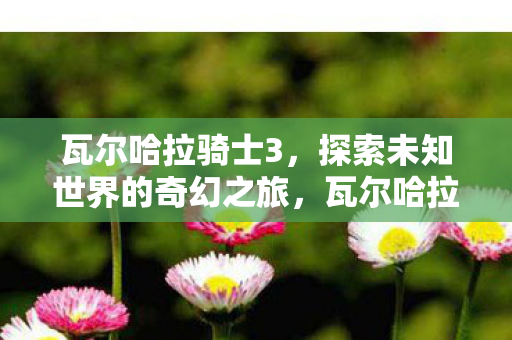 瓦尔哈拉骑士3,探索未知世界的奇幻之旅,瓦尔哈拉骑士3,奇幻之旅探索未知世界 瓦尔哈拉骑士3,探索未知世界的奇幻之旅,瓦尔哈拉骑士3,奇幻之旅探索未知世界