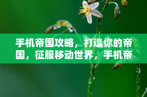 手机帝国攻略,打造你的帝国,征服移动世界,手机帝国,征服移动世界的攻略 手机帝国攻略,打造你的帝国,征服移动世界,手机帝国,征服移动世界的攻略