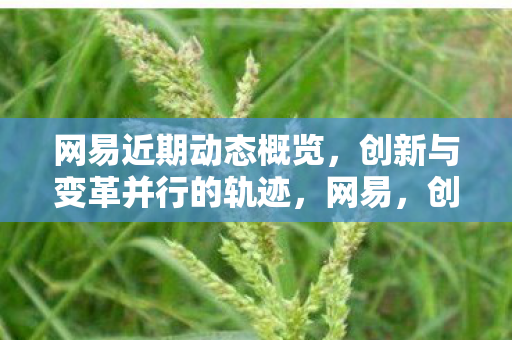 网易近期动态概览,创新与变革并行的轨迹,网易,创新与变革并行的近期动态概览 网易近期动态概览,创新与变革并行的轨迹,网易,创新与变革并行的近期动态概览