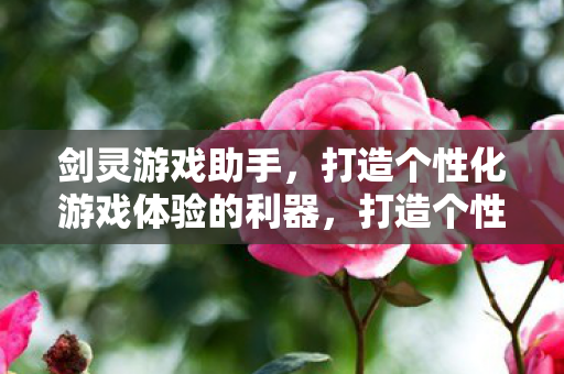 打造个性化游戏体验的利器图片