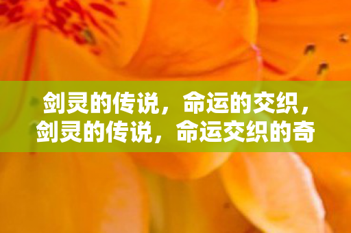 命运交织的奇幻之旅图片