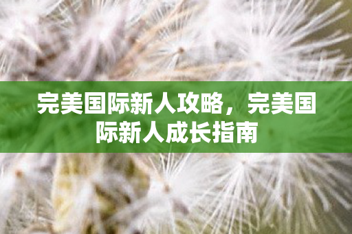 完美国际新人攻略,完美国际新人成长指南 完美国际新人攻略,完美国际新人成长指南