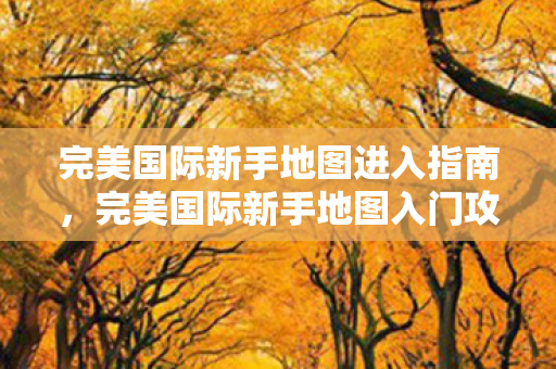 完美国际新手地图进入指南图片