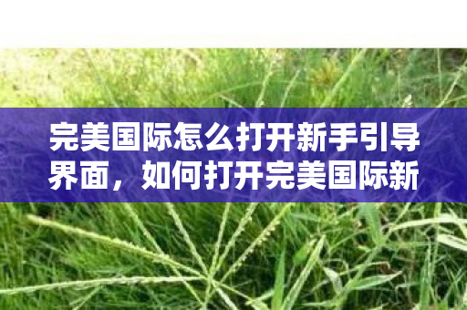 完美国际怎么打开新手引导界面,如何打开完美国际新手引导界面? 完美国际怎么打开新手引导界面,如何打开完美国际新手引导界面?