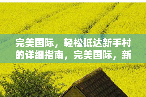 完美国际,轻松抵达新手村的详细指南,完美国际,新手村轻松抵达全攻略 完美国际,轻松抵达新手村的详细指南,完美国际,新手村轻松抵达全攻略