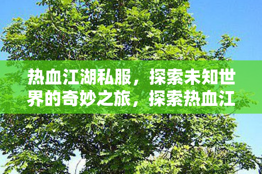 探索未知世界的奇妙之旅图片