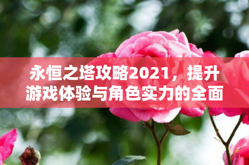 提升游戏体验与角色实力的全面指南图片