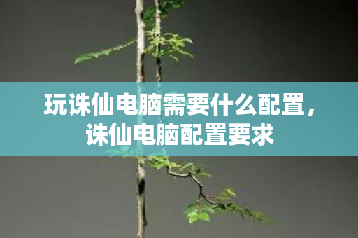 玩诛仙电脑需要什么配置图片