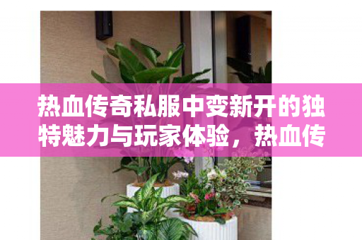 热血传奇私服中变新开的独特魅力与玩家体验,热血传奇私服中变新开的独特魅力与玩家体验 热血传奇私服中变新开的独特魅力与玩家体验,热血传奇私服中变新开的独特魅力与玩家体验