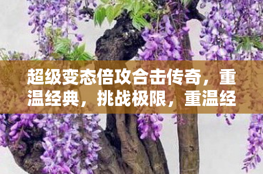 超级变态倍攻合击传奇,重温经典,挑战极限,重温经典挑战极限,超级变态倍攻合击传奇 超级变态倍攻合击传奇,重温经典,挑战极限,重温经典挑战极限,超级变态倍攻合击传奇