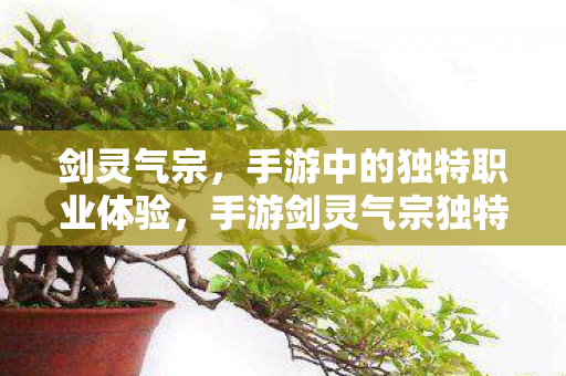 剑灵气宗,手游中的独特职业体验,手游剑灵气宗独特职业体验,气宗篇 剑灵气宗,手游中的独特职业体验,手游剑灵气宗独特职业体验,气宗篇