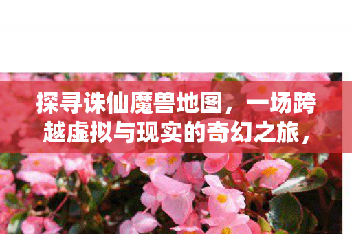 一场跨越虚拟与现实的奇幻之旅图片