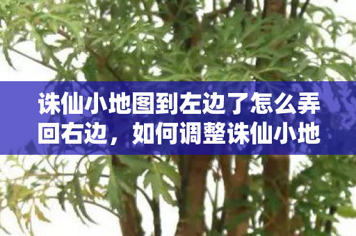 诛仙小地图到左边了怎么弄回右边图片