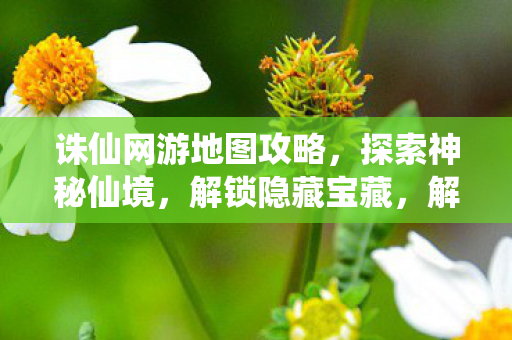 探寻诛仙网游隐藏宝藏攻略图片