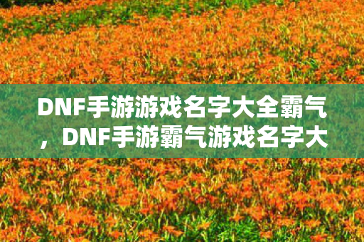 DNF手游游戏名字大全霸气图片