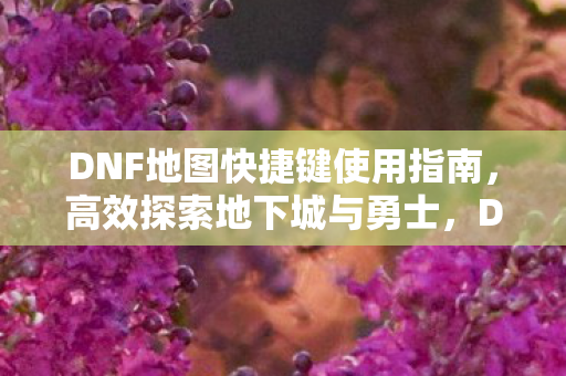 DNF地图快捷键使用指南图片