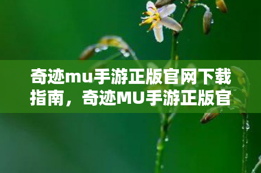 奇迹mu手游正版官网下载指南,奇迹MU手游正版官网下载指南 奇迹mu手游正版官网下载指南,奇迹MU手游正版官网下载指南