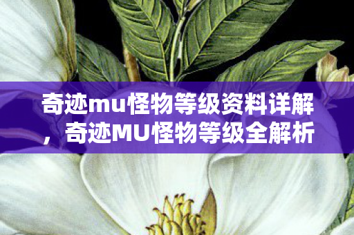 奇迹mu怪物等级资料详解，奇迹MU怪物等级全解析