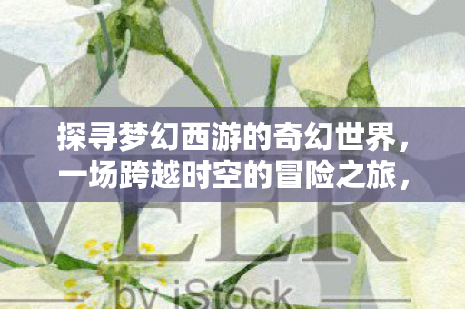 探寻梦幻西游的奇幻世界，一场跨越时空的冒险之旅，梦幻西游奇幻世界，一场跨越时空的冒险之旅