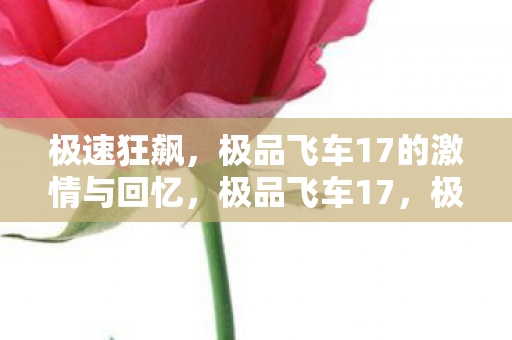 极速狂飙,极品飞车17的激情与回忆,极品飞车17,极速狂飙的激情与回忆 极速狂飙,极品飞车17的激情与回忆,极品飞车17,极速狂飙的激情与回忆