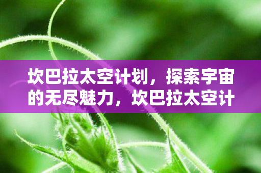 坎巴拉太空计划,探索宇宙的无尽魅力,坎巴拉太空计划,探索宇宙的无尽魅力 坎巴拉太空计划,探索宇宙的无尽魅力,坎巴拉太空计划,探索宇宙的无尽魅力