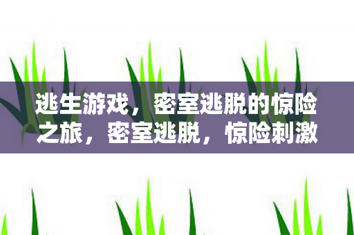 逃生游戏,密室逃脱的惊险之旅,密室逃脱,惊险刺激的逃生游戏之旅 逃生游戏,密室逃脱的惊险之旅,密室逃脱,惊险刺激的逃生游戏之旅