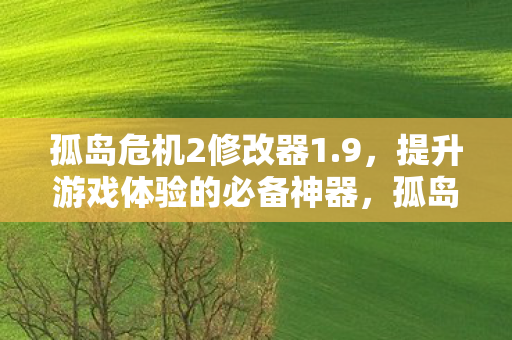 孤岛危机2修改器1.9,提升游戏体验的必备神器,孤岛危机2修改器1.9,提升游戏体验的必备工具 孤岛危机2修改器1.9,提升游戏体验的必备神器,孤岛危机2修改器1.9,提升游戏体验的必备工具