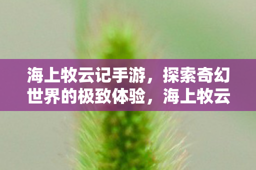 海上牧云记手游,探索奇幻世界的极致体验,海上牧云记手游,探索奇幻世界的极致体验 海上牧云记手游,探索奇幻世界的极致体验,海上牧云记手游,探索奇幻世界的极致体验
