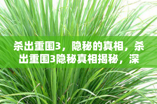 杀出重围3,隐秘的真相,杀出重围3隐秘真相揭秘,深度解析游戏背后的故事与细节 杀出重围3,隐秘的真相,杀出重围3隐秘真相揭秘,深度解析游戏背后的故事与细节