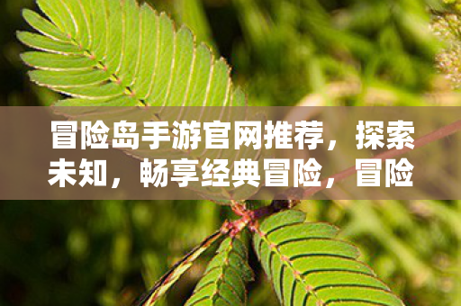 冒险岛手游官网推荐,探索未知,畅享经典冒险,冒险岛手游官网推荐,探索未知,畅享经典冒险 冒险岛手游官网推荐,探索未知,畅享经典冒险,冒险岛手游官网推荐,探索未知,畅享经典冒险