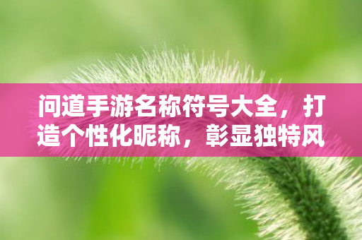 问道手游名称符号大全图片