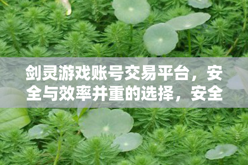 安全与效率并重的剑灵游戏账号交易平台图片
