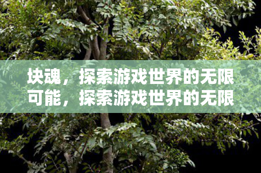 块魂，探索游戏世界的无限可能，探索游戏世界的无限可能，块魂之旅