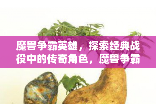 魔兽争霸英雄,探索经典战役中的传奇角色,魔兽争霸英雄,经典战役中的传奇角色 魔兽争霸英雄,探索经典战役中的传奇角色,魔兽争霸英雄,经典战役中的传奇角色