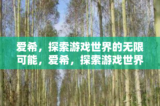爱希,探索游戏世界的无限可能,爱希,探索游戏世界的无限可能 爱希,探索游戏世界的无限可能,爱希,探索游戏世界的无限可能