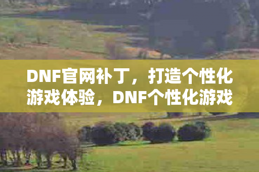 DNF官网补丁,打造个性化游戏体验,DNF个性化游戏体验,官网补丁打造你的专属游戏世界 DNF官网补丁,打造个性化游戏体验,DNF个性化游戏体验,官网补丁打造你的专属游戏世界