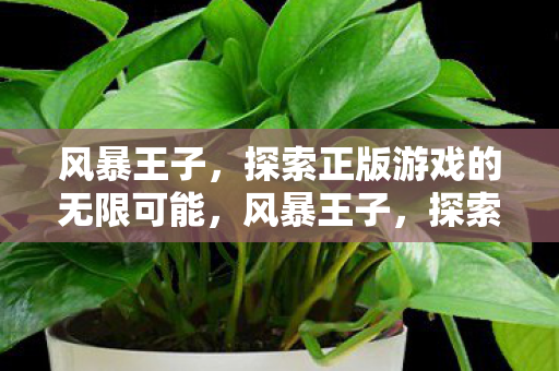 风暴王子,探索正版游戏的无限可能,风暴王子,探索正版游戏的无限可能 风暴王子,探索正版游戏的无限可能,风暴王子,探索正版游戏的无限可能