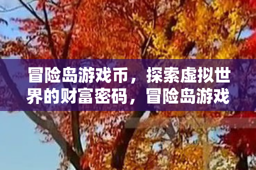 冒险岛游戏币，探索虚拟世界的财富密码，冒险岛游戏币，解锁虚拟世界的财富密码