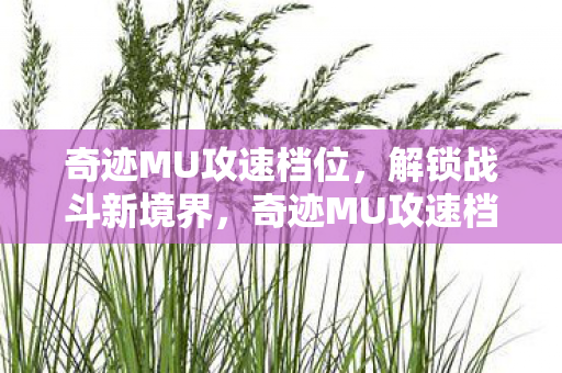 奇迹MU攻速档位，解锁战斗新境界，奇迹MU攻速档位，解锁战斗新境界