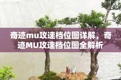 奇迹mu攻速档位图详解，奇迹MU攻速档位图全解析