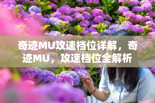 奇迹MU攻速档位详解,奇迹MU,攻速档位全解析 奇迹MU攻速档位详解,奇迹MU,攻速档位全解析