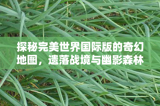 探秘完美世界国际版的奇幻地图，遗落战境与幽影森林，探秘完美世界国际版，遗落战境与幽影森林的奇幻之旅