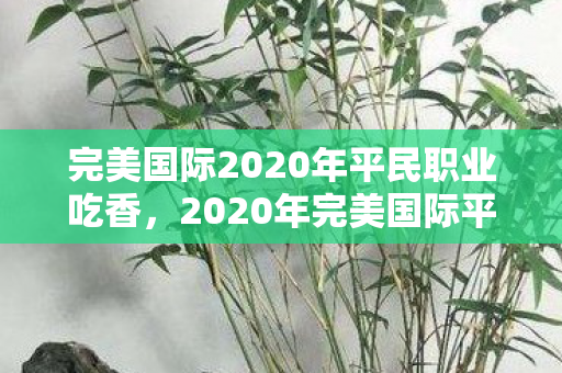 完美国际2020年平民职业吃香，2020年完美国际平民职业大受欢迎