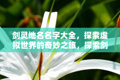 探索虚拟世界的奇妙之旅图片