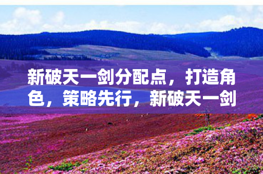 角色打造策略与分配点解析图片